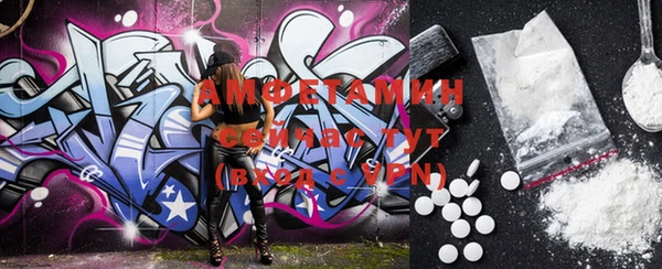скорость Вяземский