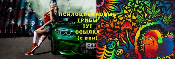 скорость Вяземский