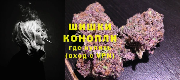 скорость Вяземский