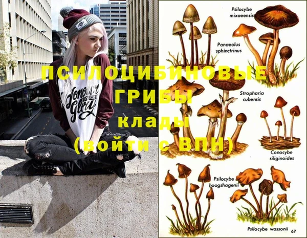 MDMA Premium VHQ Железноводск