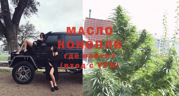 скорость Вяземский