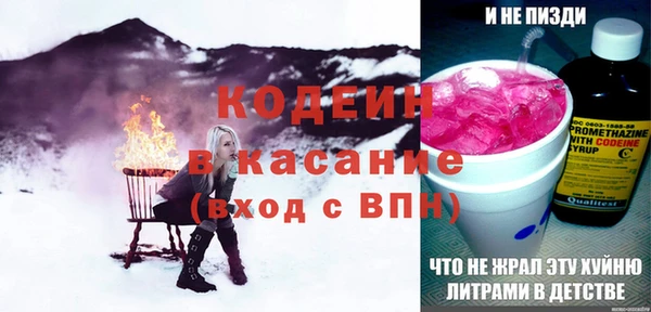 скорость Вяземский