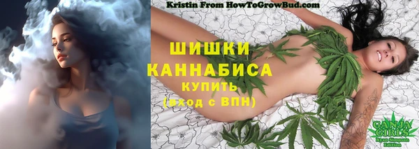 скорость Вяземский